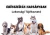 FELHÍVÁS   EBÖSSZEÍRÁSRA